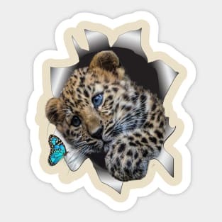 Leopard Cub and a Butterfly Sticker